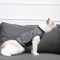 Coppthinktu cat anxiety jacket on cat wearing demonstrates snug fit during activity.