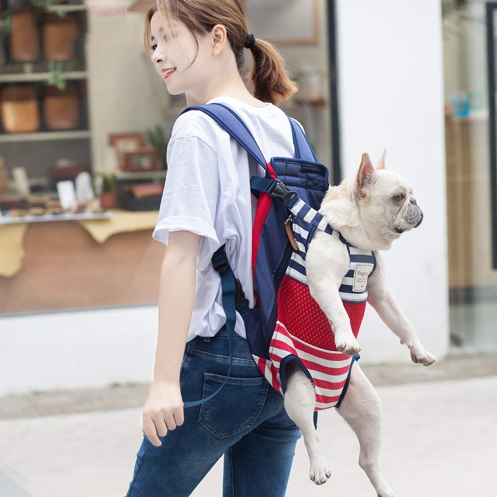 Coppthinktu dog carrier backpack in-use during urban walks with pet visible and relaxed.