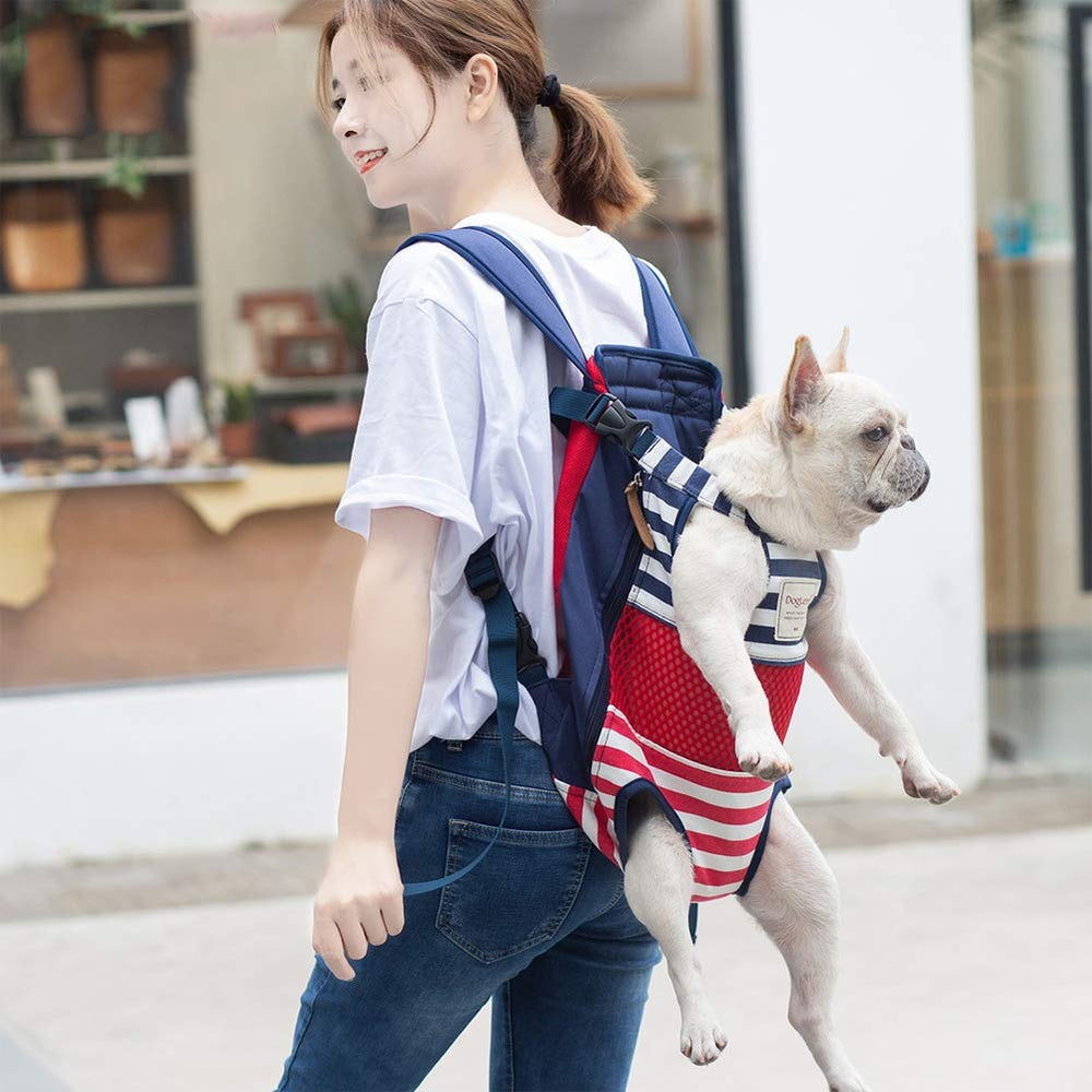 Coppthinktu dog carrier backpack in-use during urban walks with pet visible and relaxed.