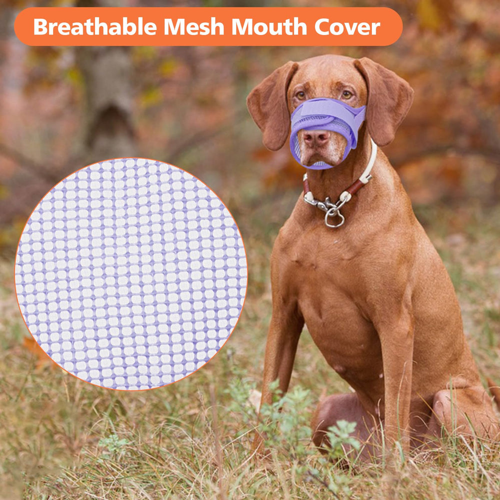 Coppthinktu dog muzzle supports safe outdoor walks and vet visits with calm use.