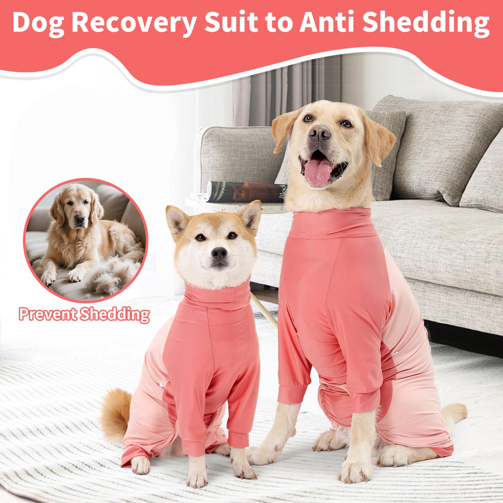 Coppthinktu Recovery Suit for dogs, color-block design, stylish and comfortable