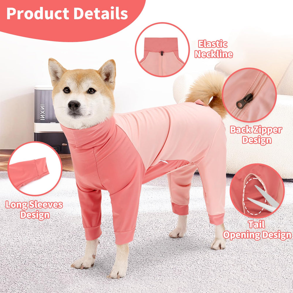 Coppthinktu Recovery Suit for dogs, easy-wear scene, no-cone alternative