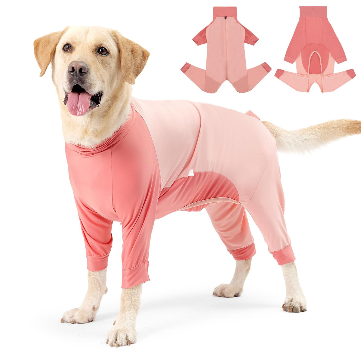 Coppthinktu Recovery Suit for dogs, front view, reduces licking and shedding mess