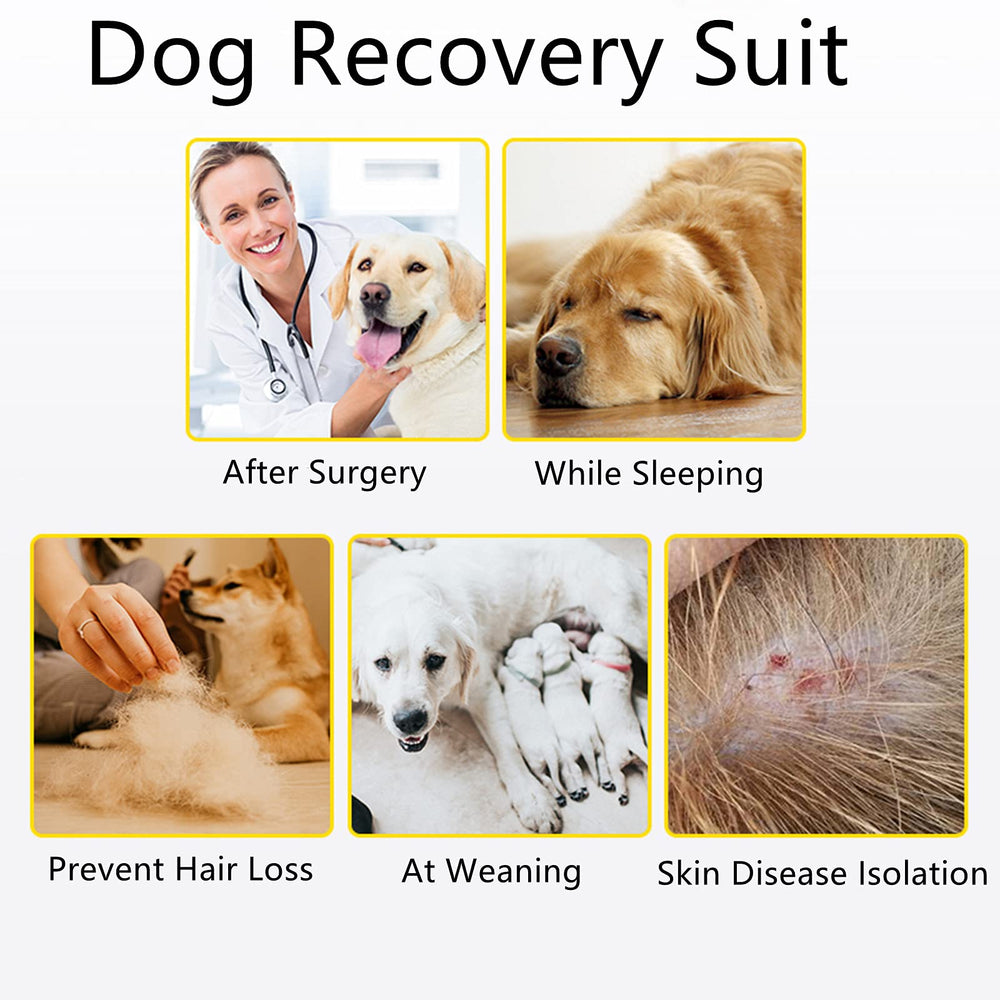 Coppthinktu recovery suit on soft surface shows comfortable dog-wearing during recovery