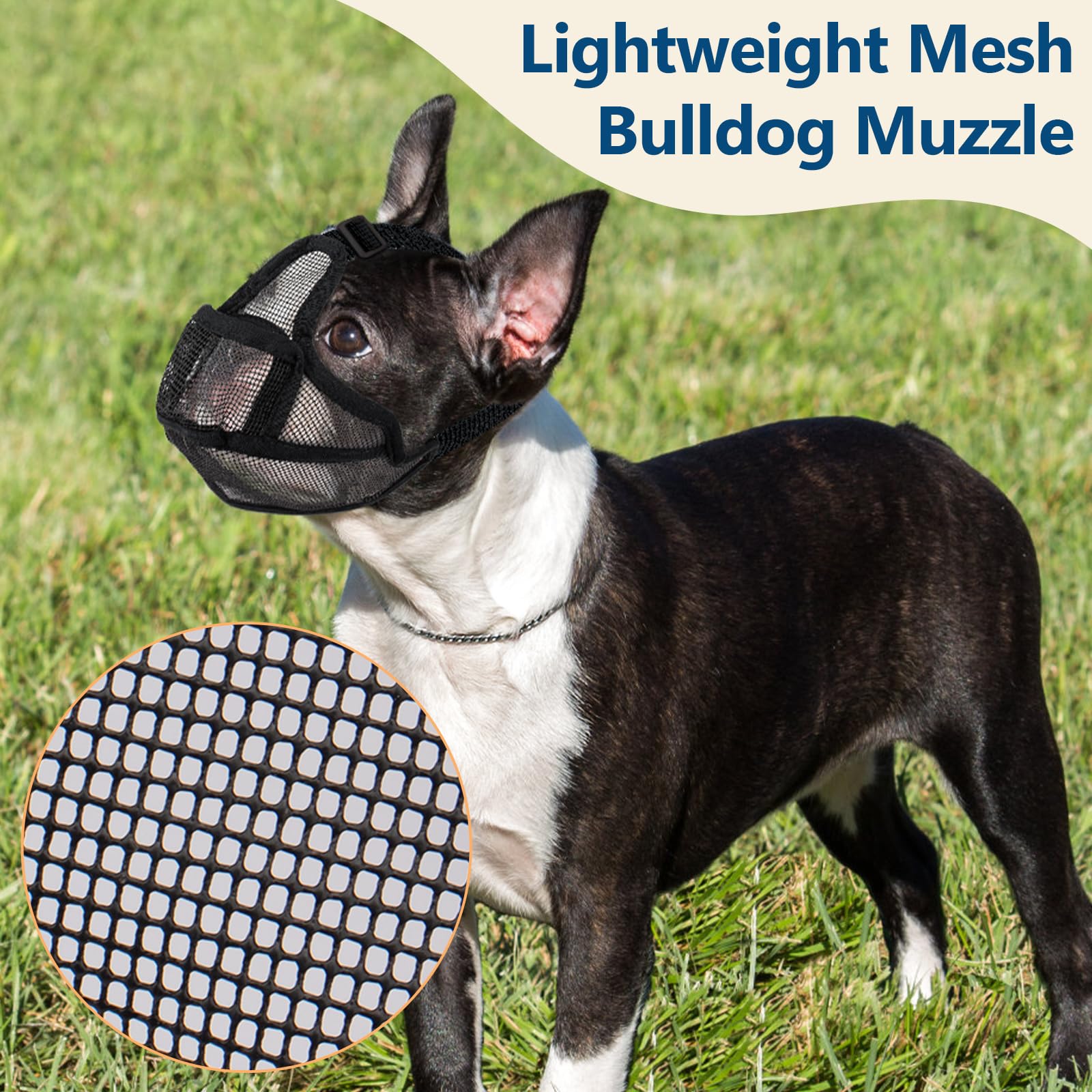 Coppthinktu short snout muzzle durable woven strap resists pulling on walks