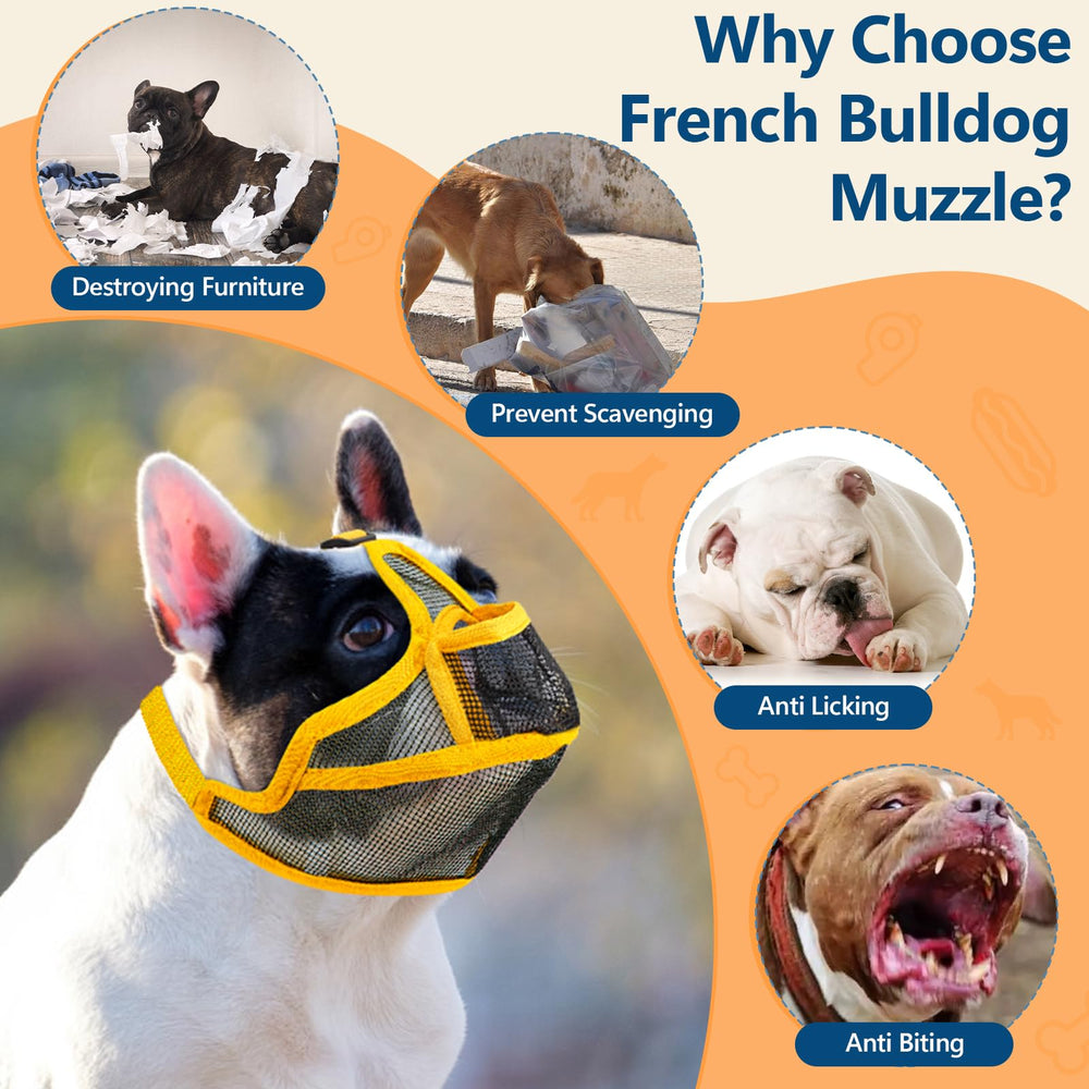 Coppthinktu short snout muzzle adjustable elastic strap ensures secure fit for flat-faced breeds.