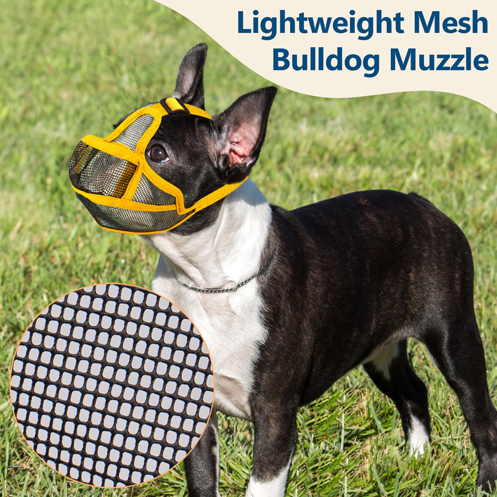 Coppthinktu short snout muzzle yellow color improves visibility and style during outings.