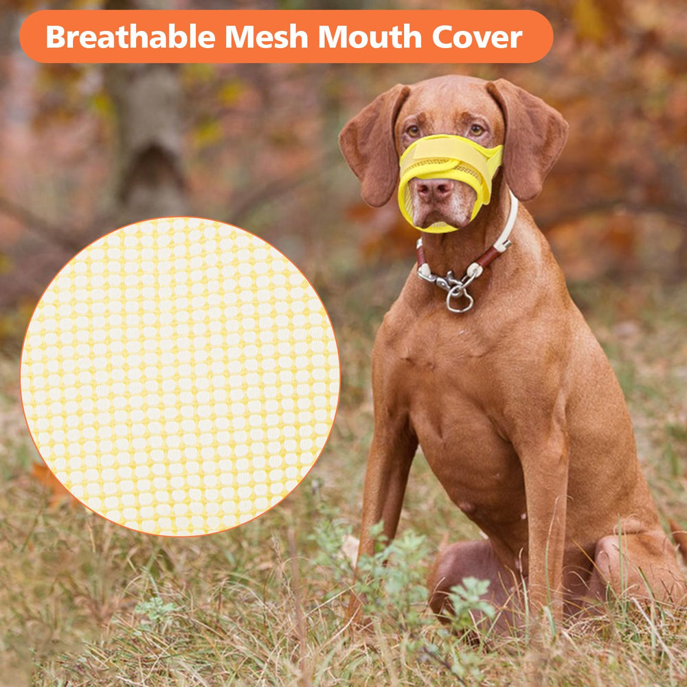 Coppthinktu yellow XL muzzle for large dogs during outdoor adventures