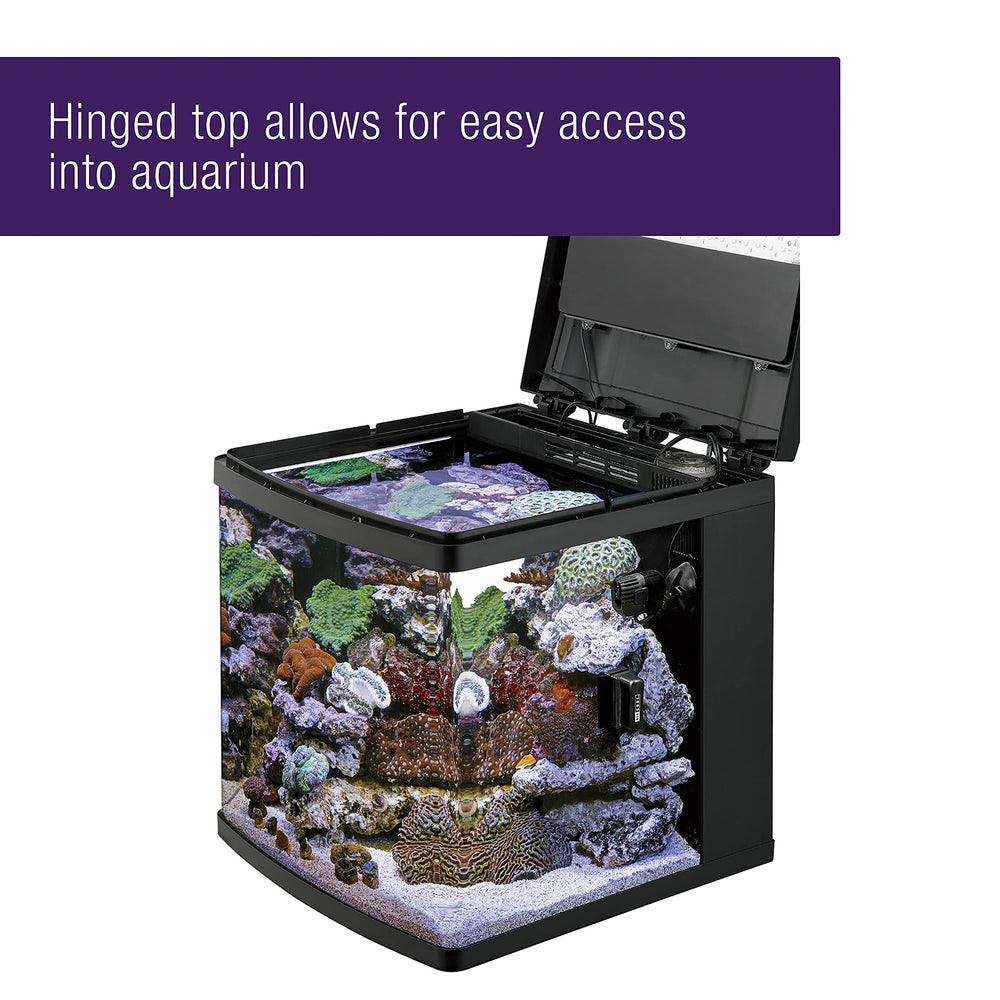 Coralife BioCube built-in filtration chamber keeps water clear with ease.