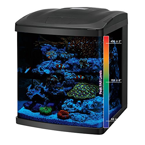 Quiet pump and durable filtration simplify BioCube maintenance.