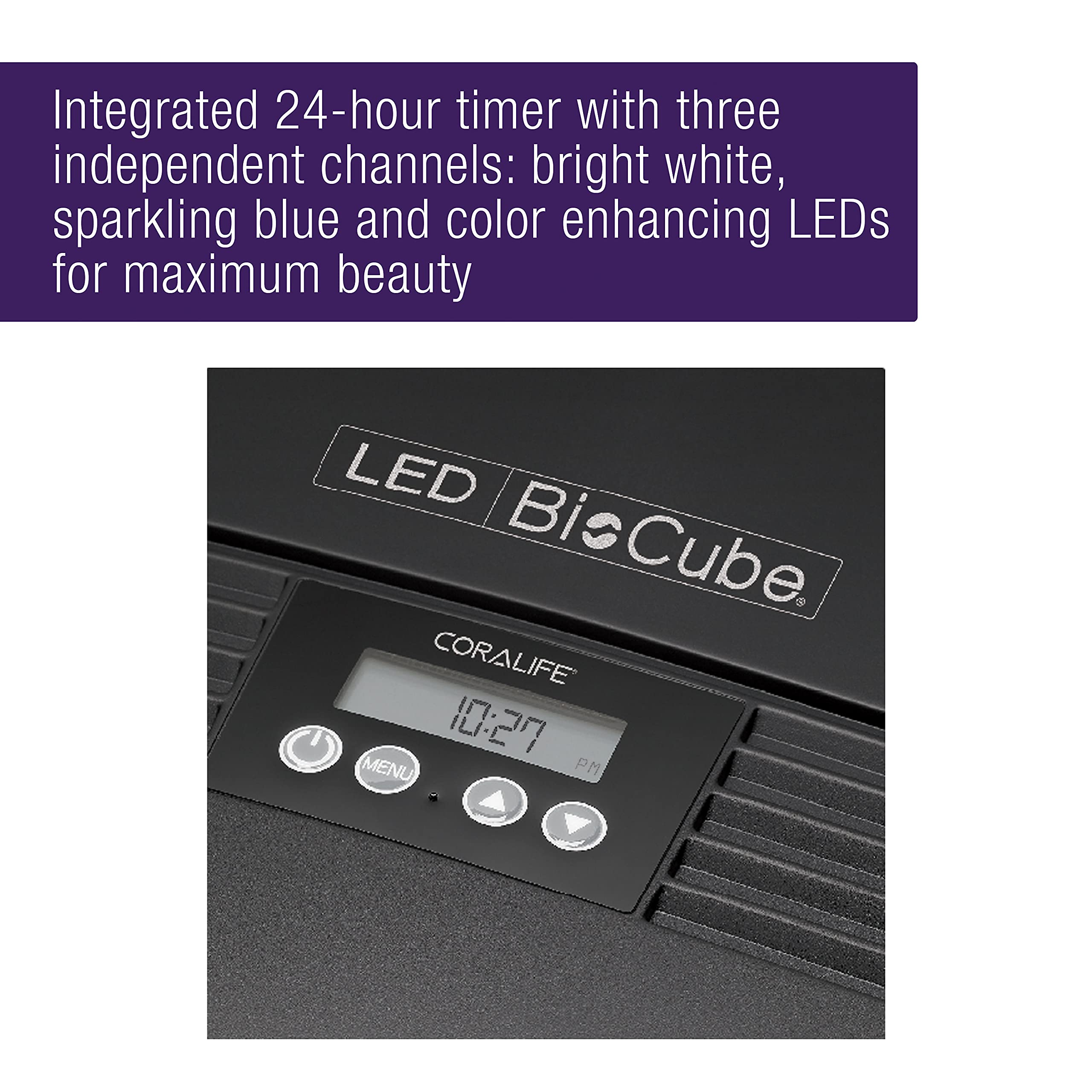 BioCube submersible pump delivers quiet performance for peaceful setup.