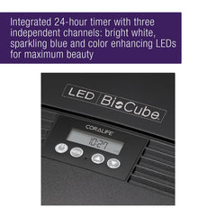 BioCube submersible pump delivers quiet performance for peaceful setup.