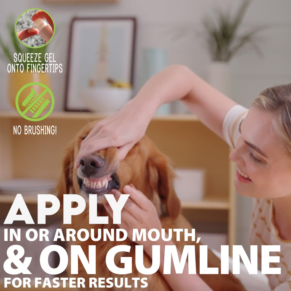CORE Pet Complete Oral Care application area shows gel on gums and teeth.