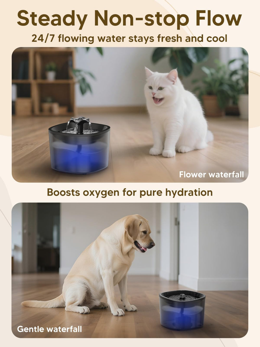 CORGOTE lock lid storage keeps food fresh and secure when away.
