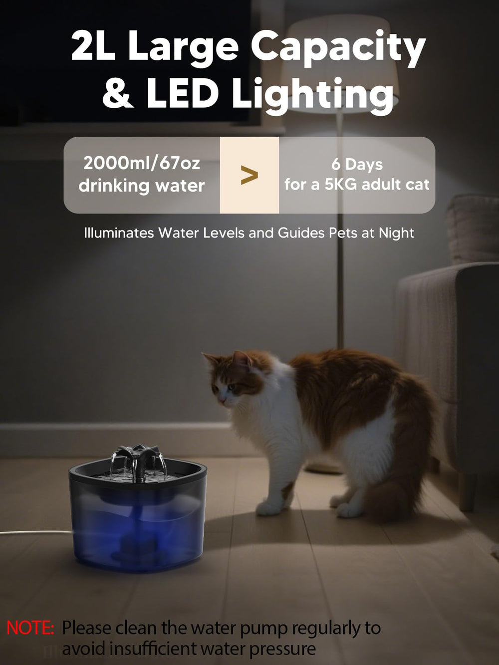CORGOTE detachable water bowl simplifies cleaning and refilling.