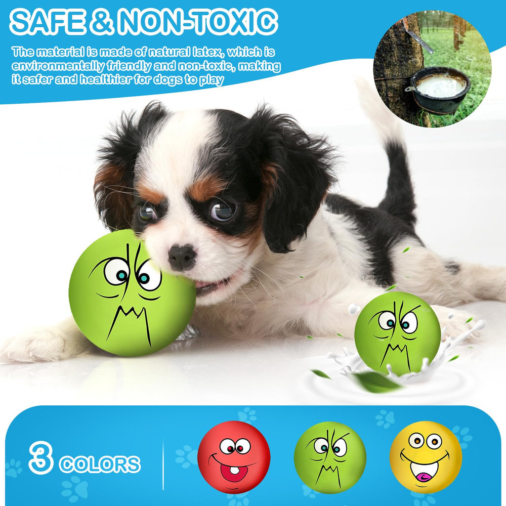 Coricorsu squeaky dog toy face design highlighting the cute smile