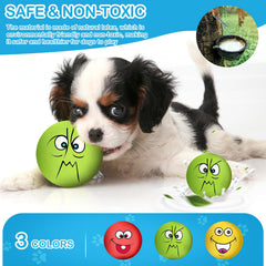 Coricorsu squeaky dog toy face design highlighting the cute smile
