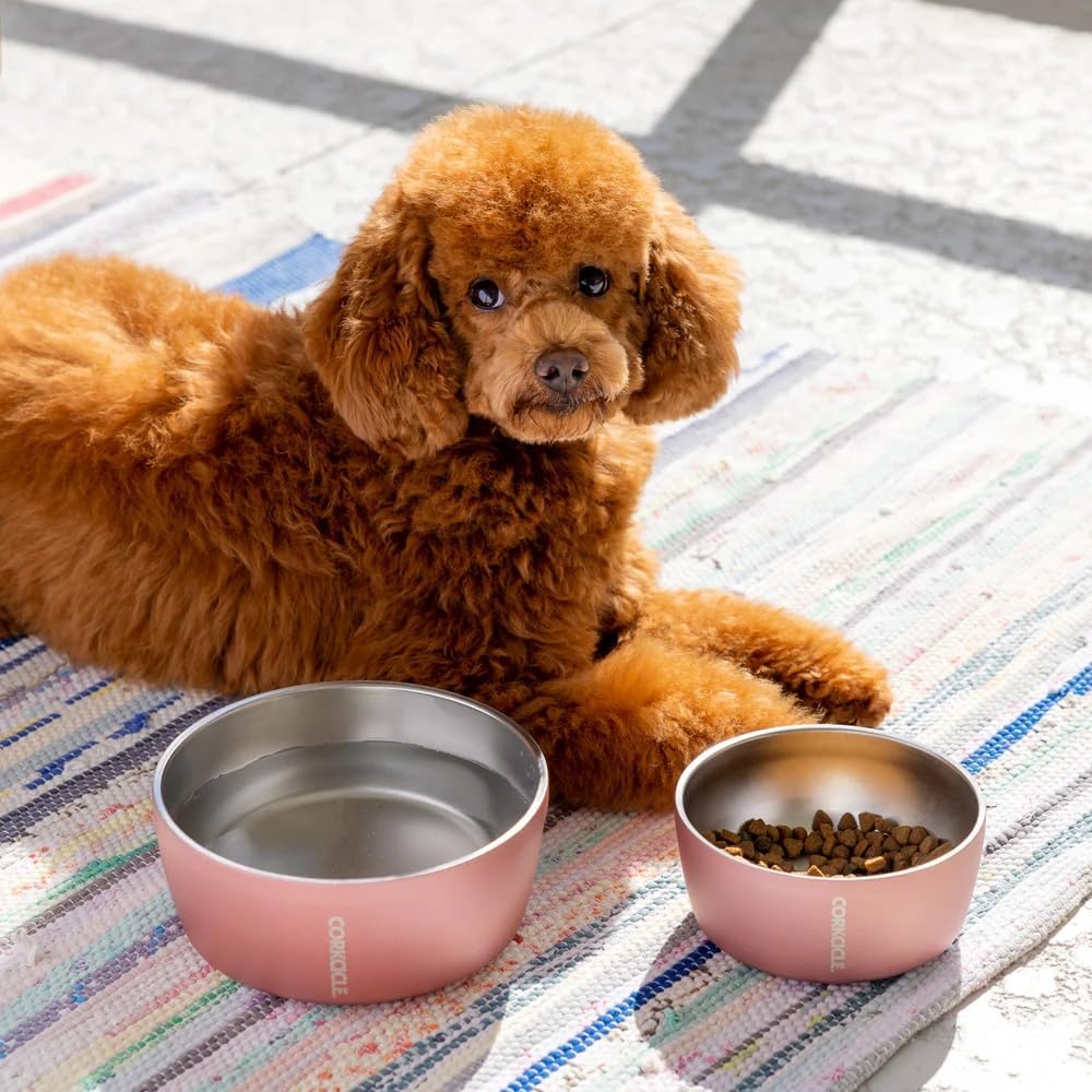 Corkcicle dog bowl Ceramic Sierra finish adds stylish home use.