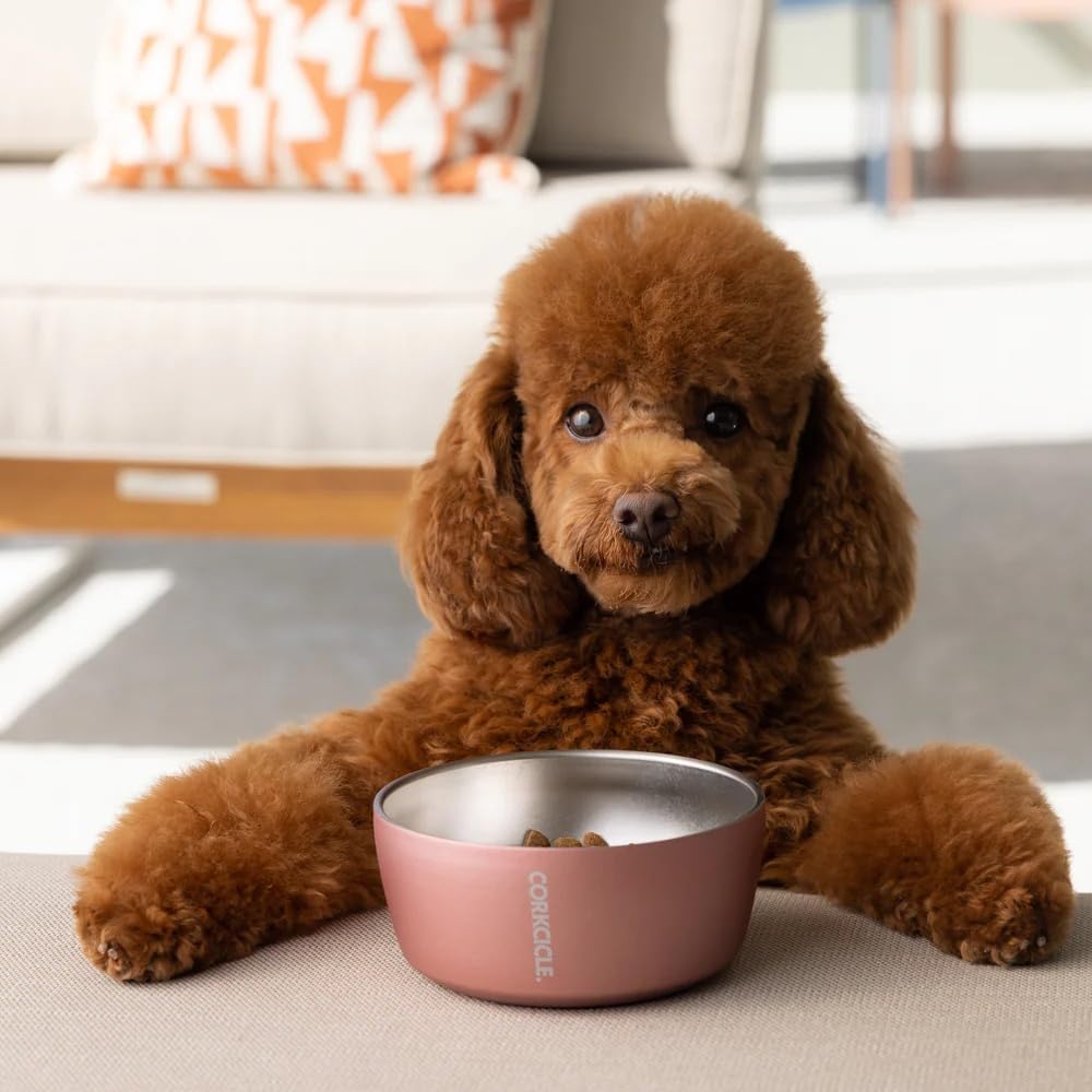 Corkcicle dog bowl gloss white finish coordinates with accessories