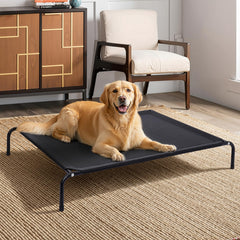 Cosita elevated dog bed outdoors shows off-ground design for cooler, dry comfort