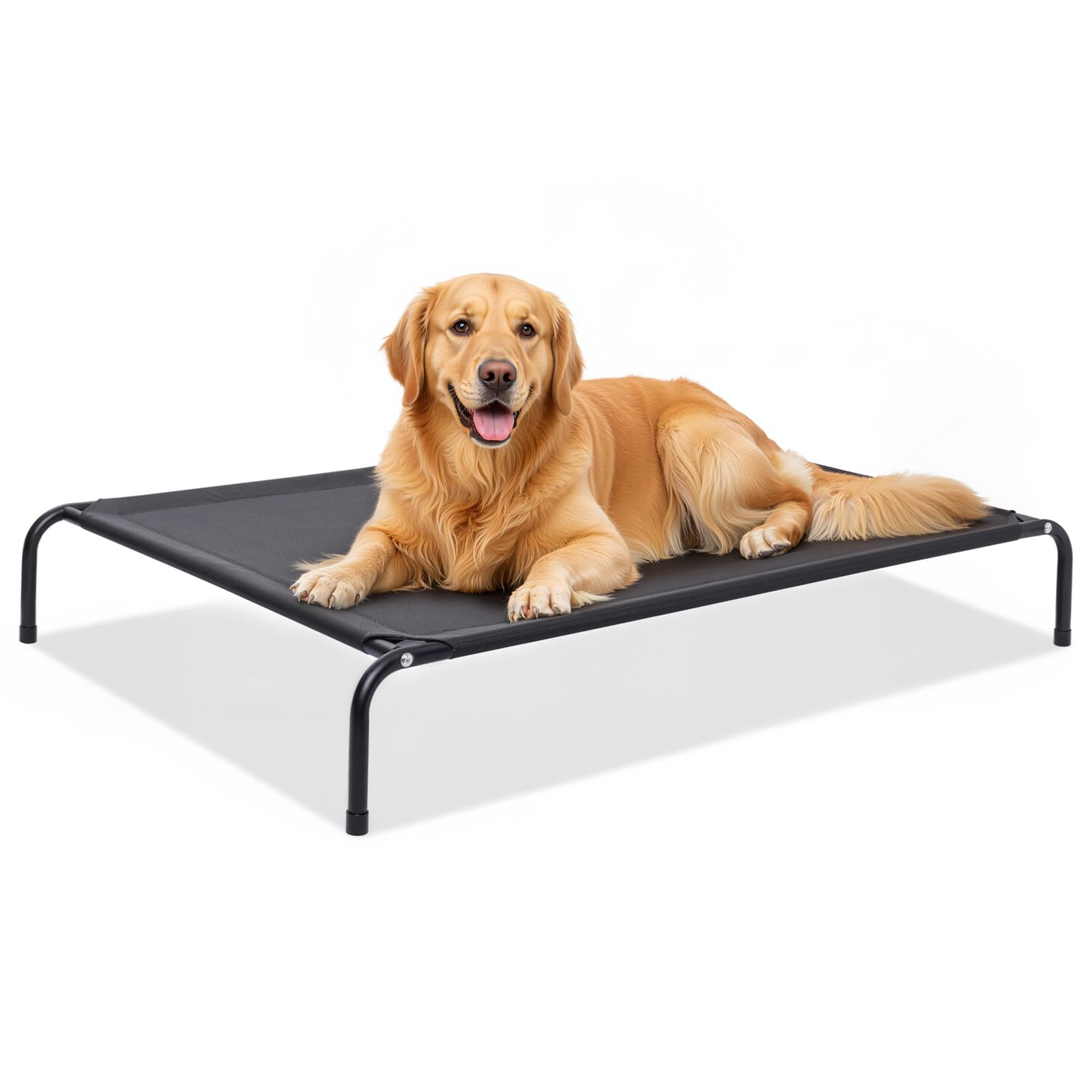 Cosita portable dog bed is ideal for indoor and outdoor adventures