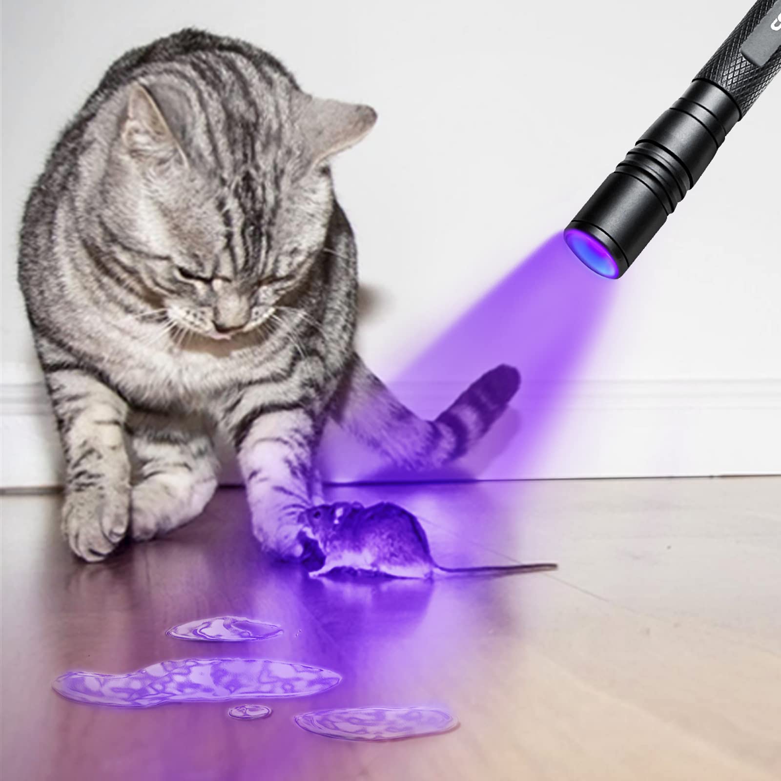 COSMOING UV flashlight packaging includes all essentials for immediate use.
