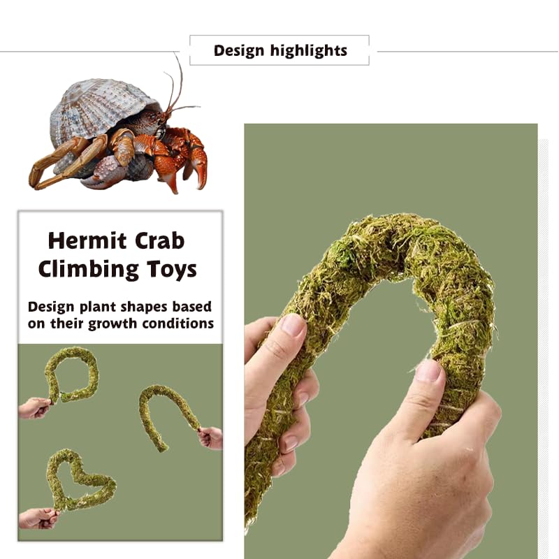 COSOC Hermit Crab 9PCS Accessory Pack supports safe, natural habitat setup.