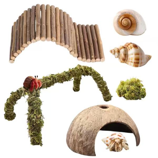 COSOC Hermit Crab climbing bridge enhances exploration and activity in a natural tank setup.