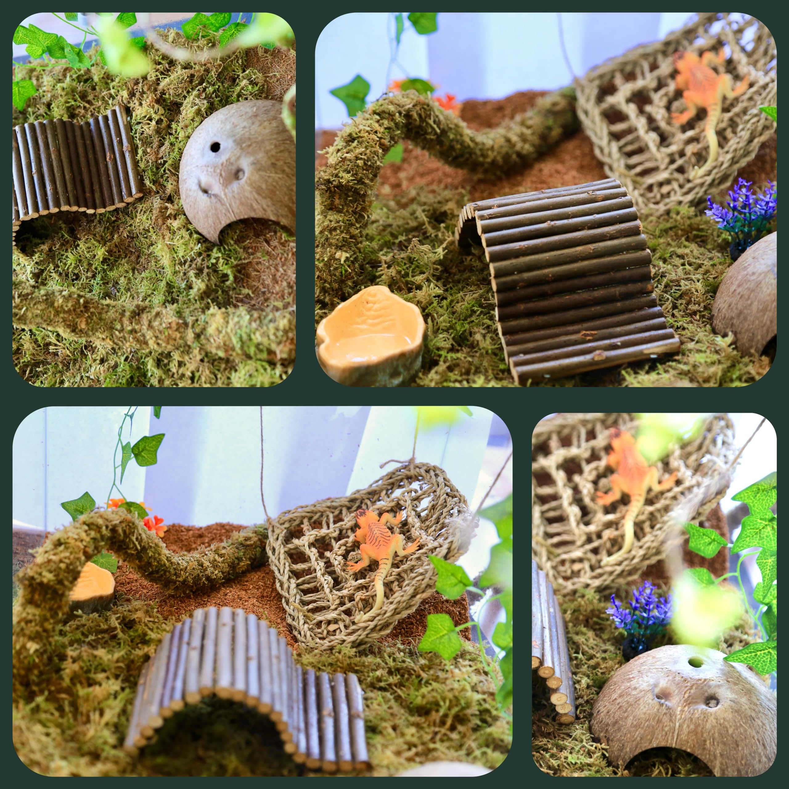 COSOC Hermit Crab driftwood toy encourages climbing and activity in a safe habitat.