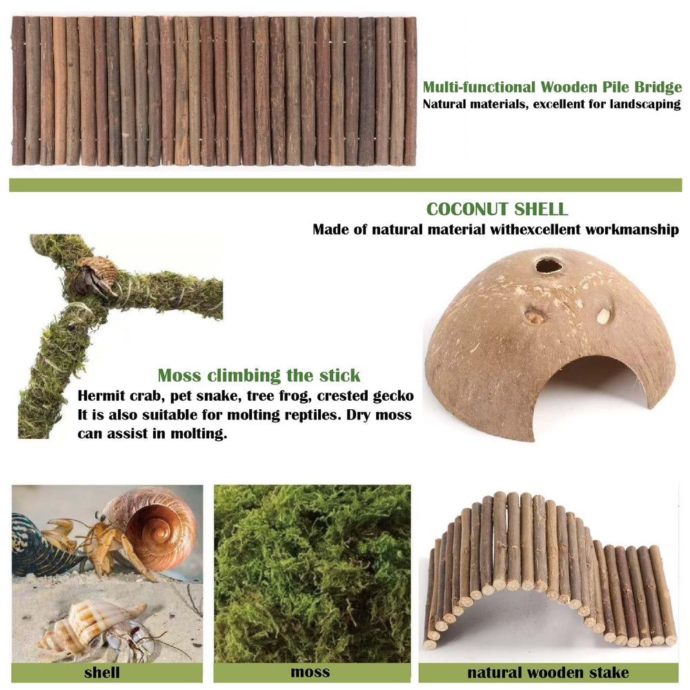 COSOC Hermit Crab natural moss helps maintain humidity and adds tropical visual appeal.