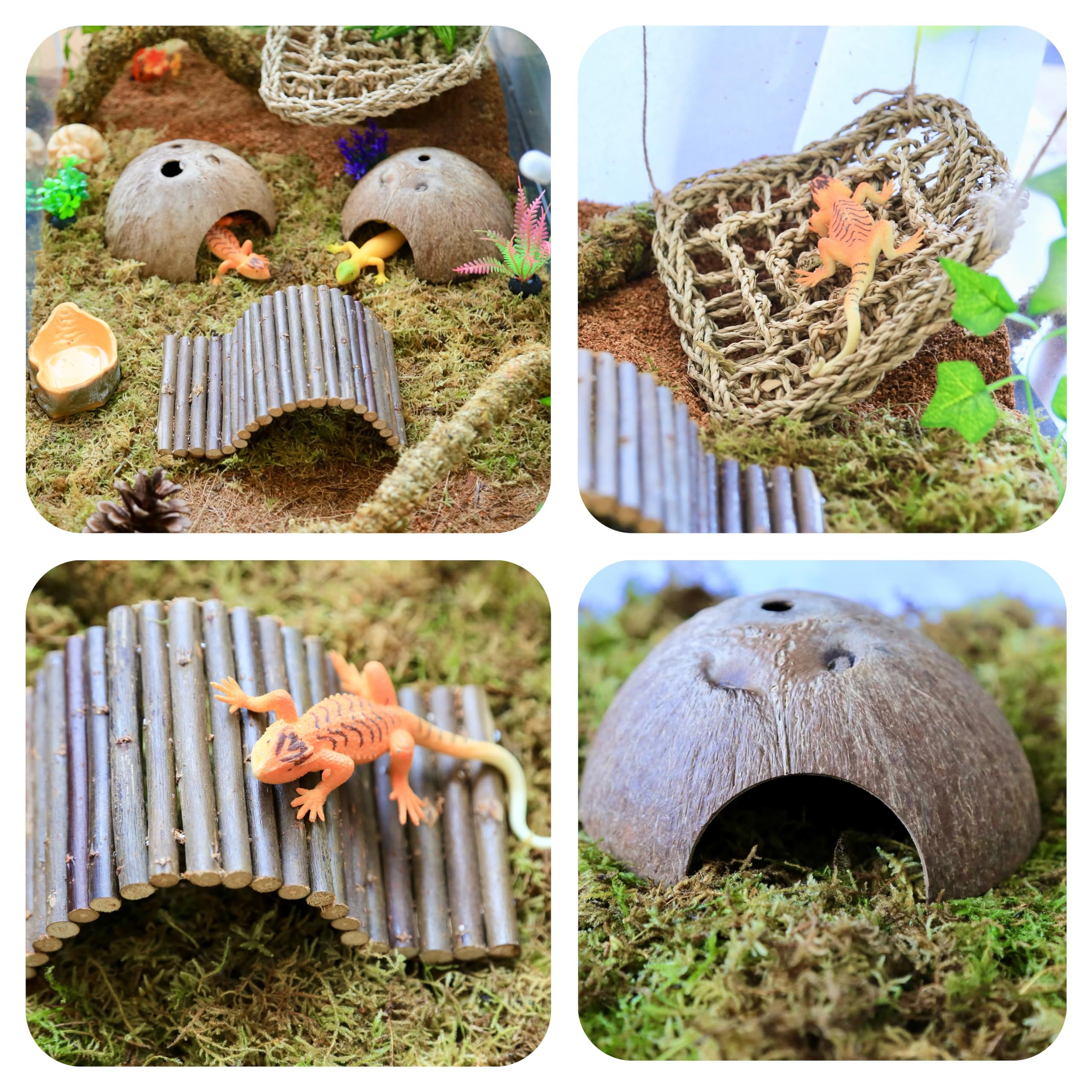 COSOC Hermit Crab tank decor plants complete a natural-looking, enriching crabitat.