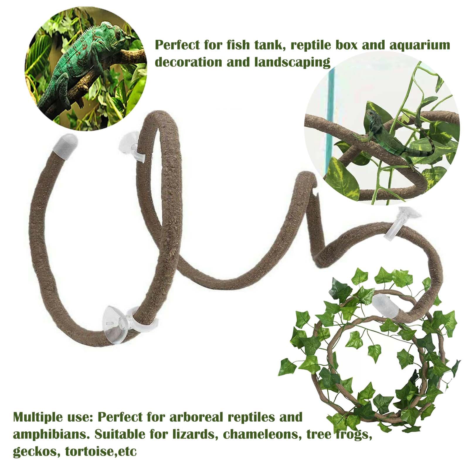 COSOC leaves provide foliage and shelter to mimic a real habitat.