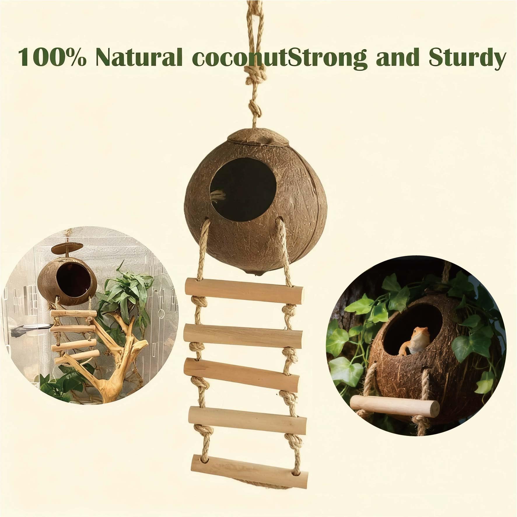 COSOC reptile hammock offers soft resting with durable seagrass support.