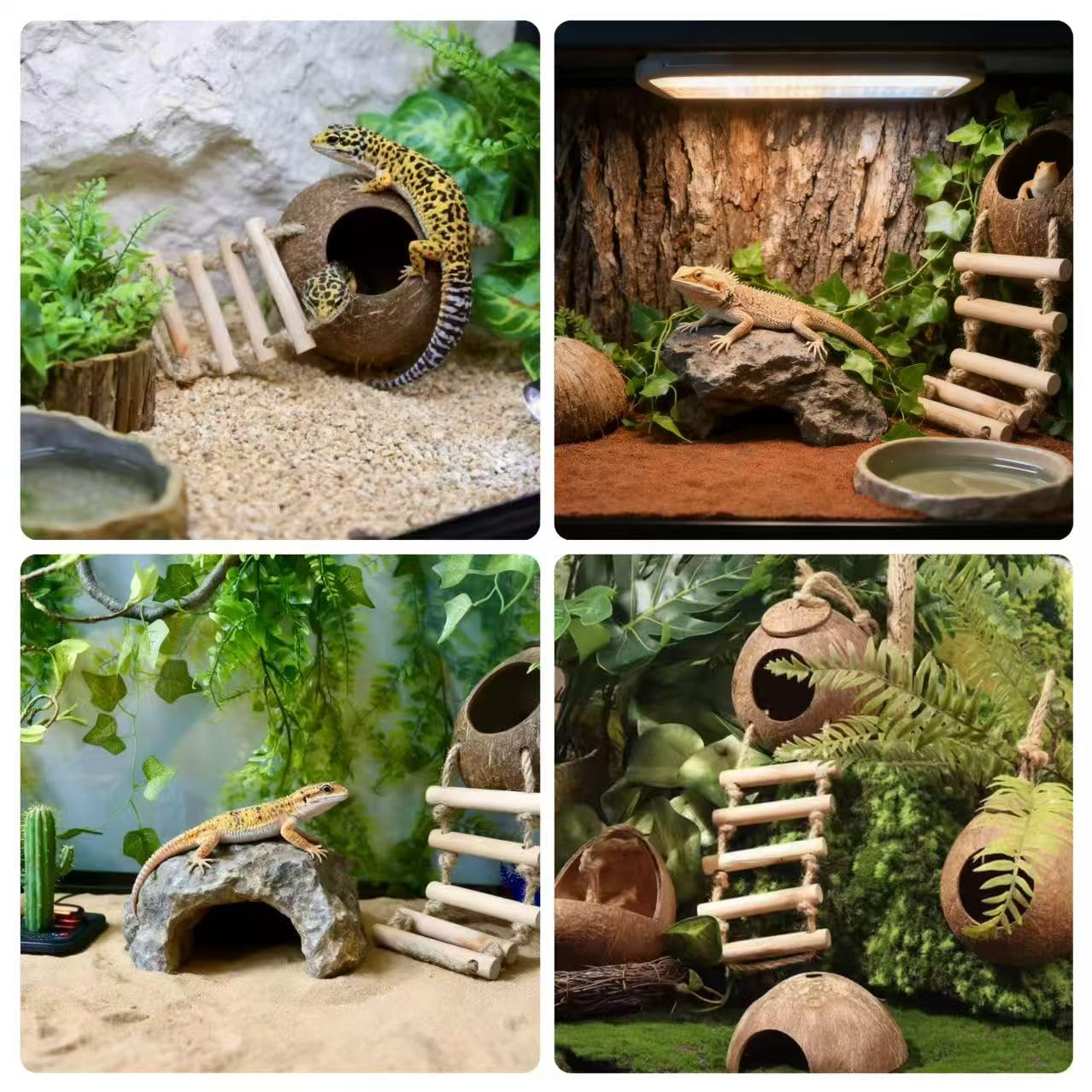 COSOC leaves add texture and visual appeal for a realistic enclosure.