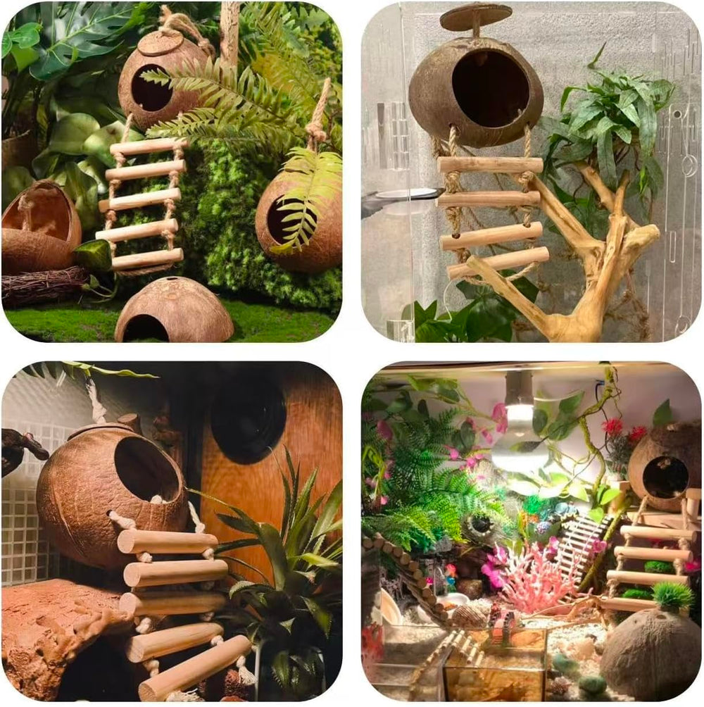 COSOC water grass flower balls provide playful decor and treat spots.