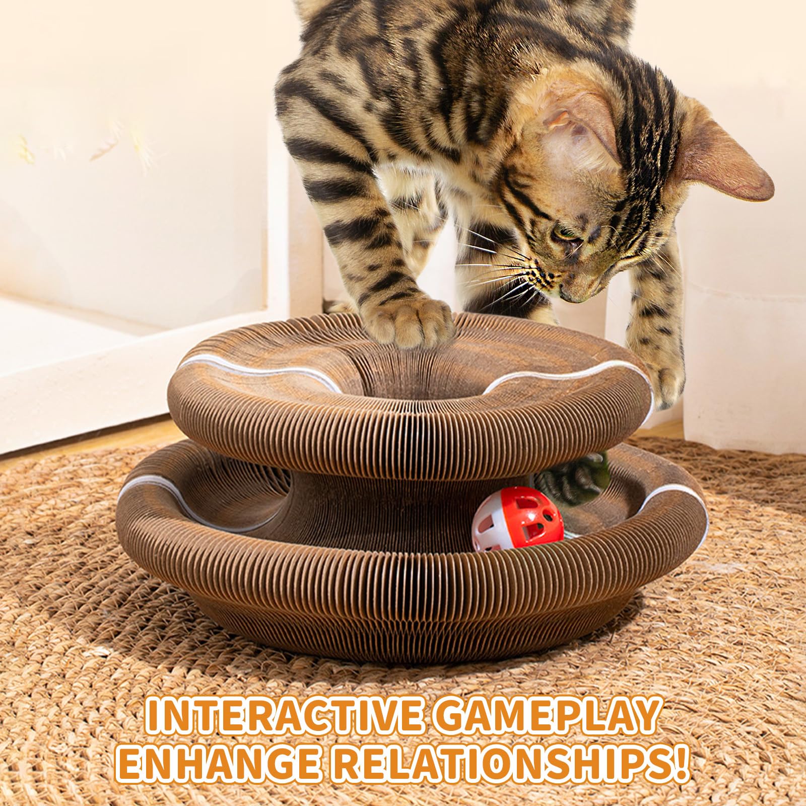 COSOWO Kitty Kurlz two-pack demonstrates value and extended play options