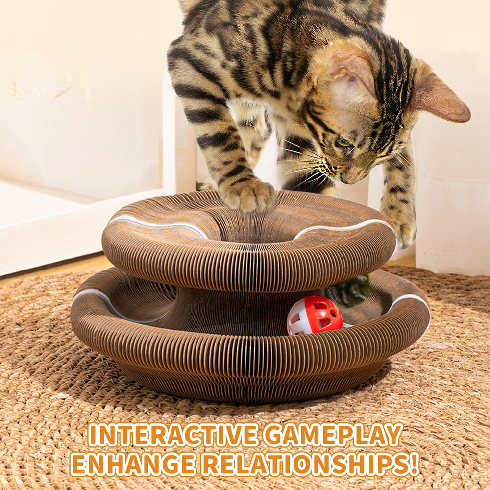 COSOWO Kitty Kurlz two-pack demonstrates value and extended play options