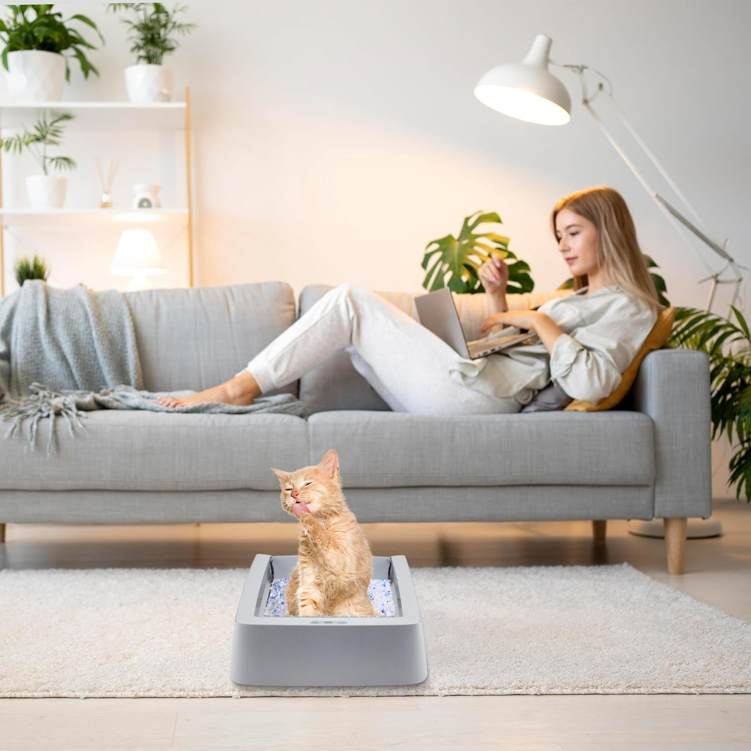 Cosparx rust-resistant stainless steel tray for long-lasting use.