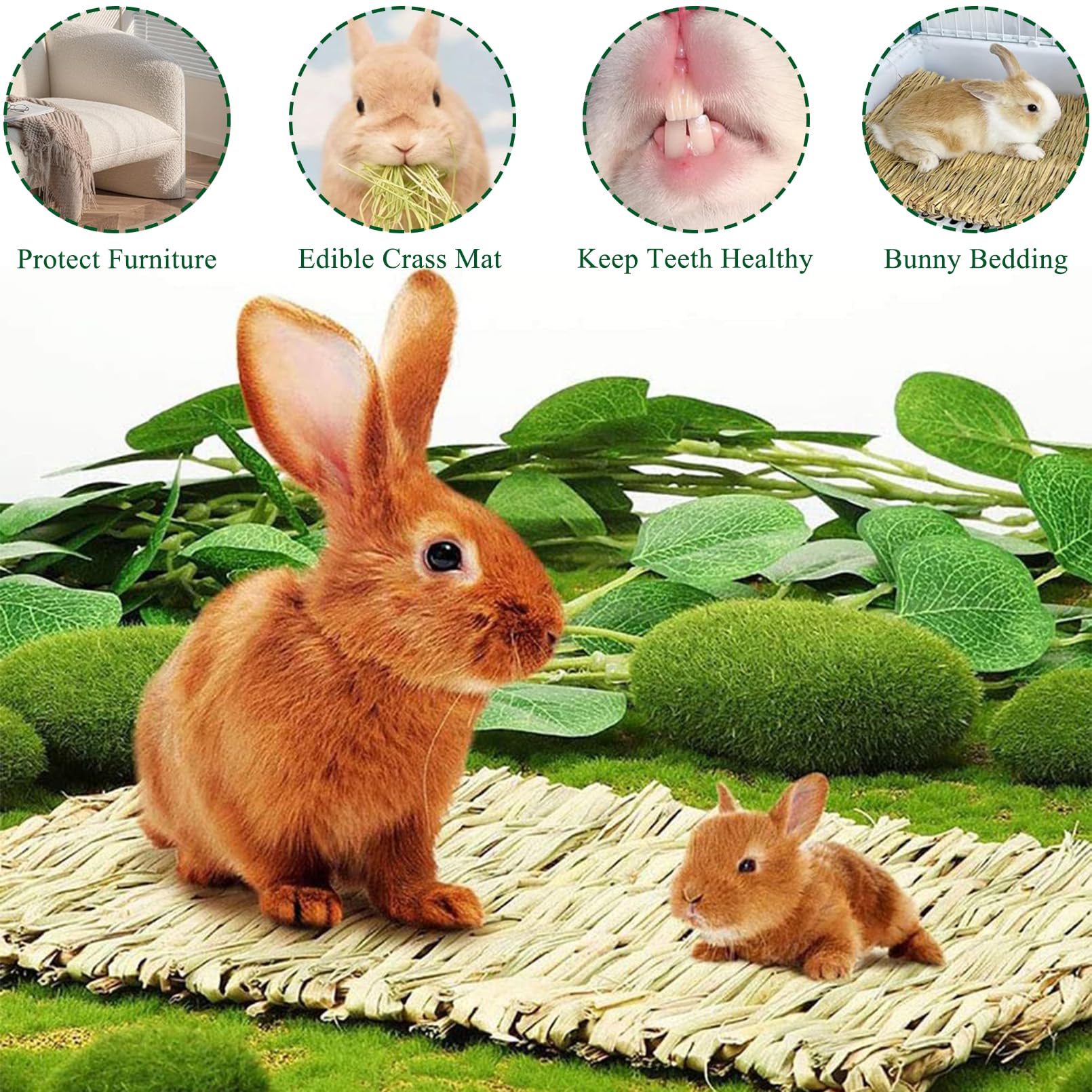 COTELEEC grass mat for pet feet protection—soft base for claws