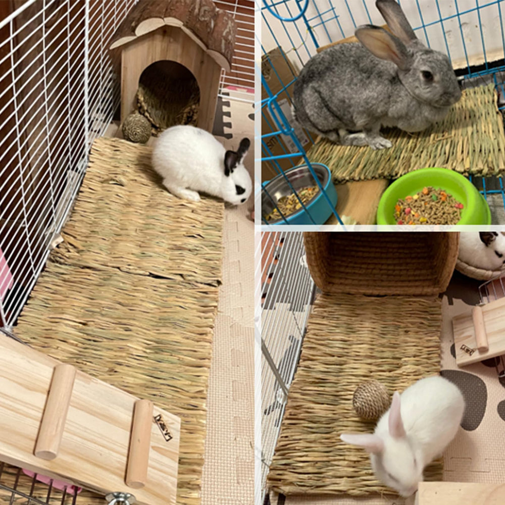 COTELEEC small animal mat—edible, chew-friendly, suitable for rabbits and guinea pigs