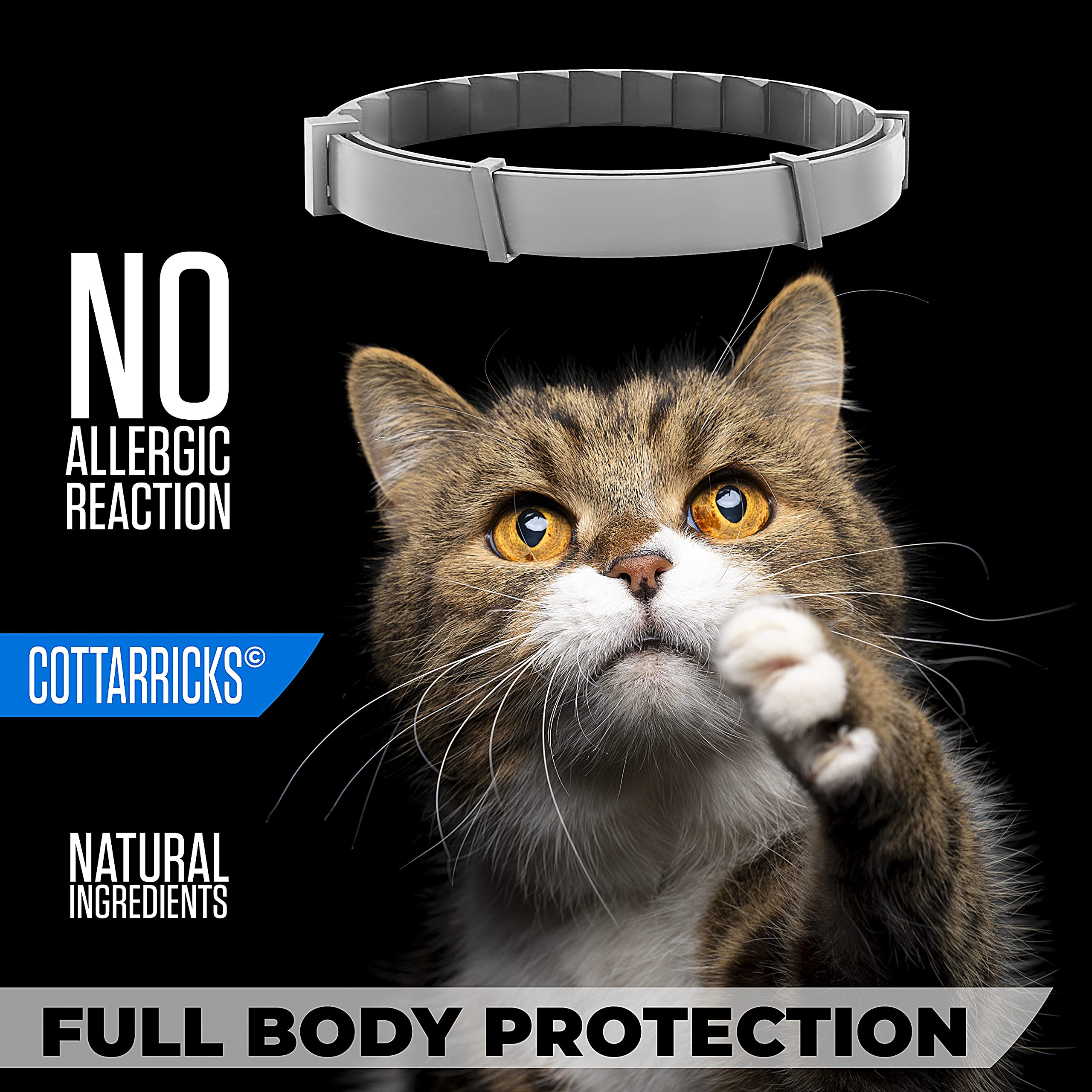 Cottarricks collar being cut to fit different cat sizes