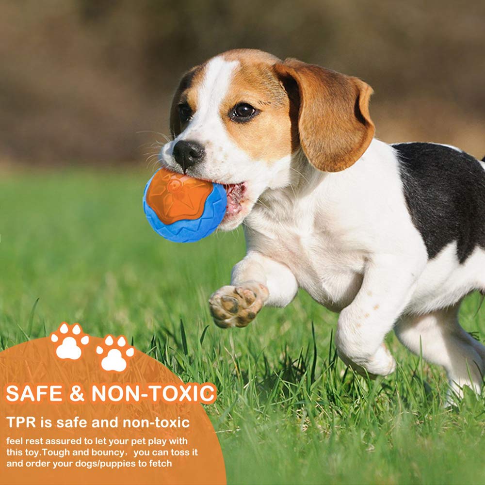 CoubonTail pool toy floating ideal for water fetch games.