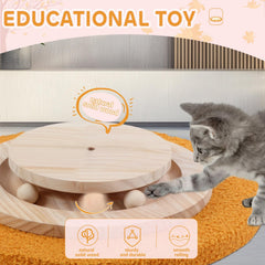 COUNER interactive balls engage cats during playtime.