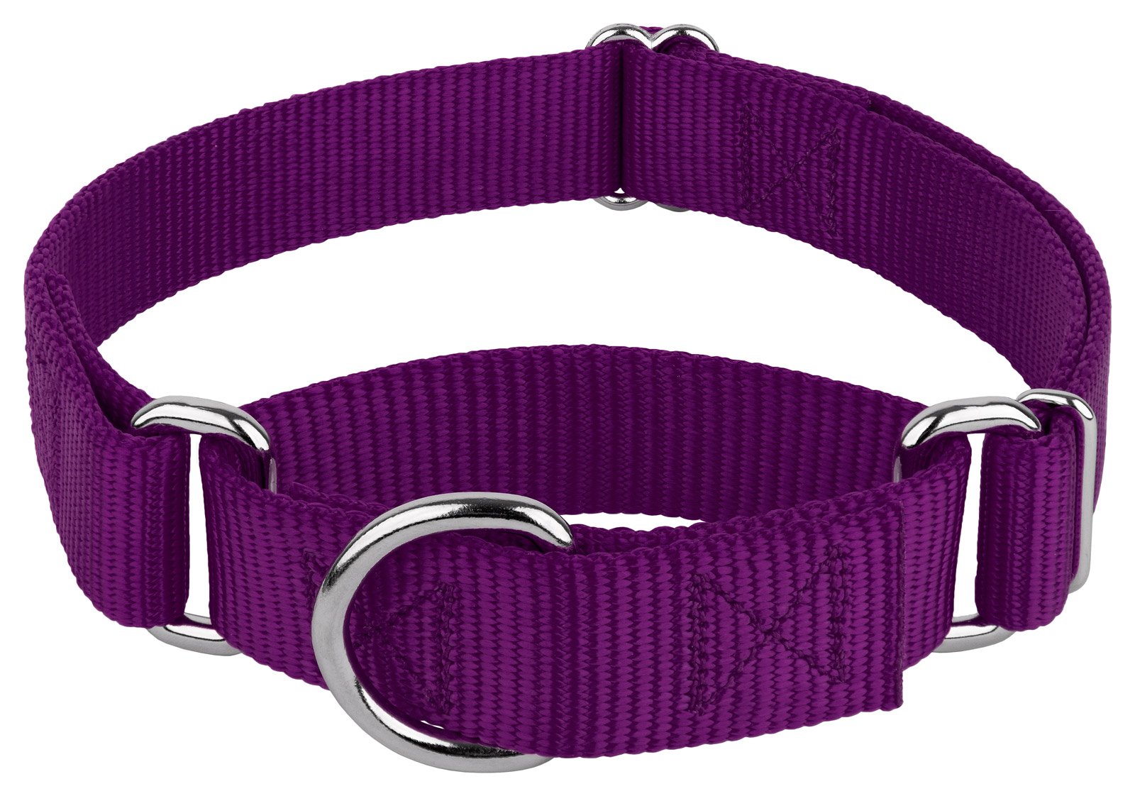 Country Brook Petz martingale collar no buckle worn for quick over-the-head fitting