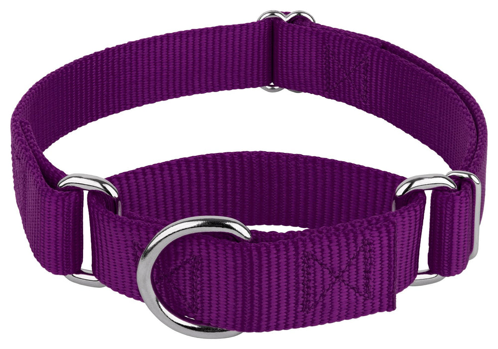 Country Brook Petz martingale collar no buckle worn for quick over-the-head fitting