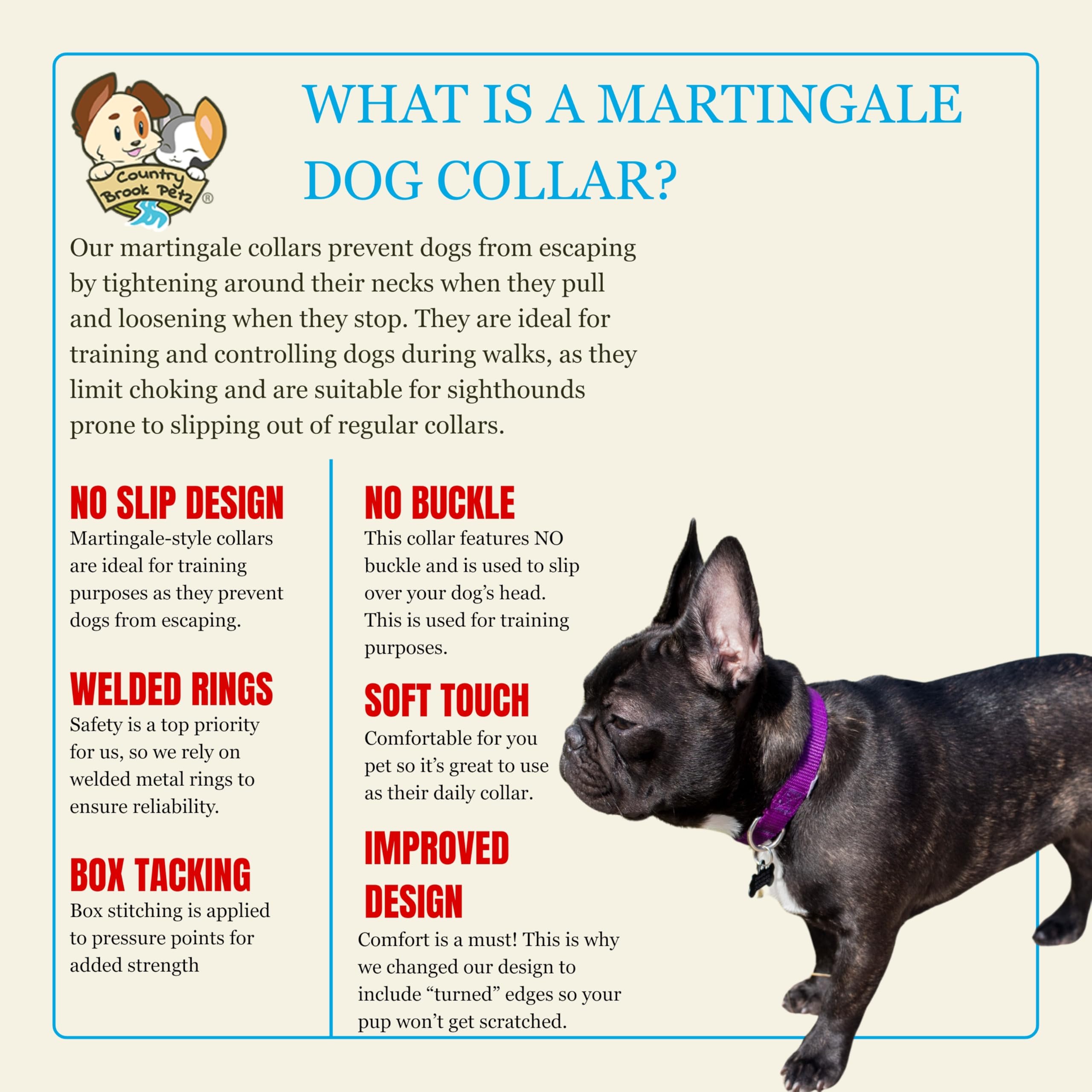 Country Brook Petz soft ribbed nylon collar feels comfortable during daily strolls