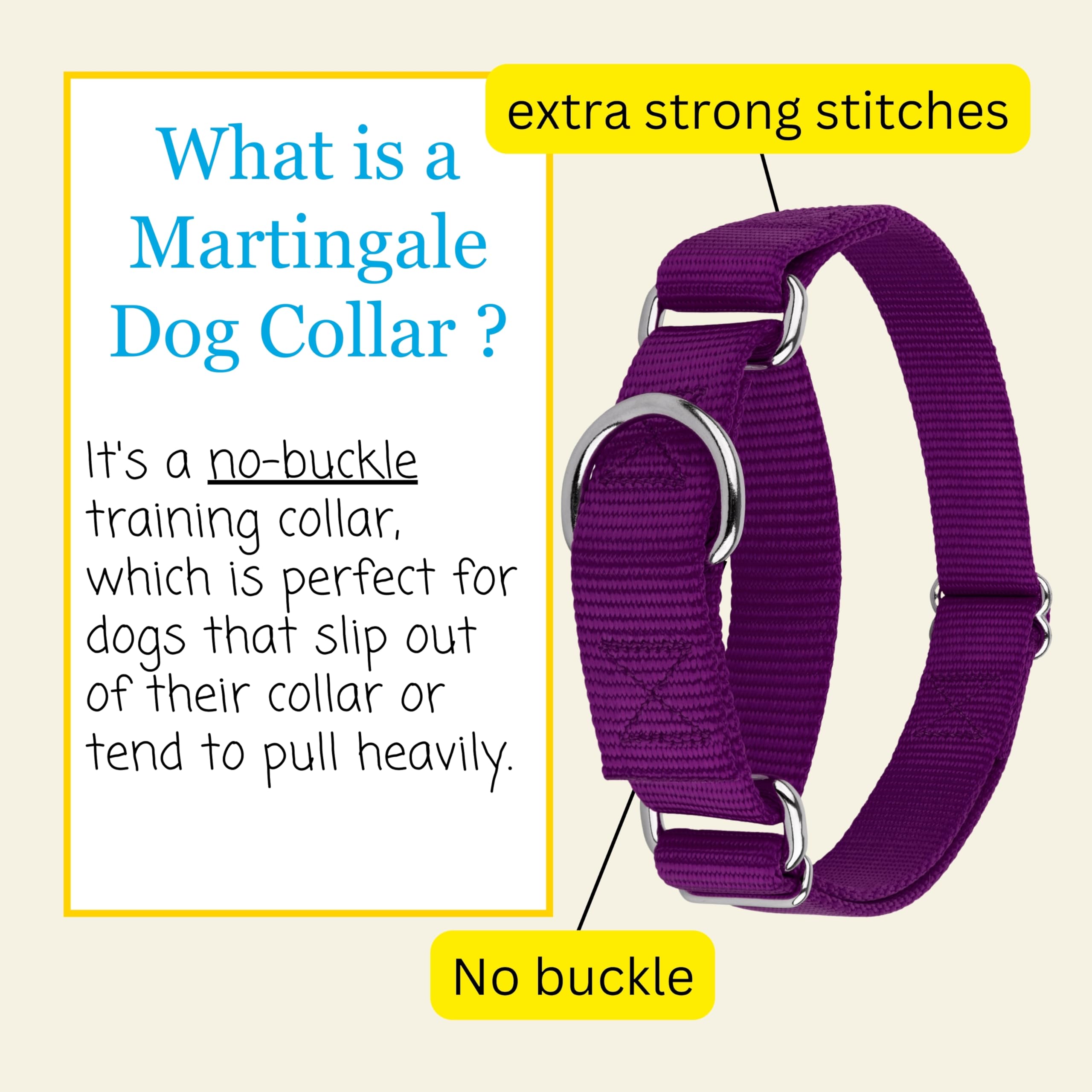 Country Brook Petz training collar demonstrates gentle control during walks