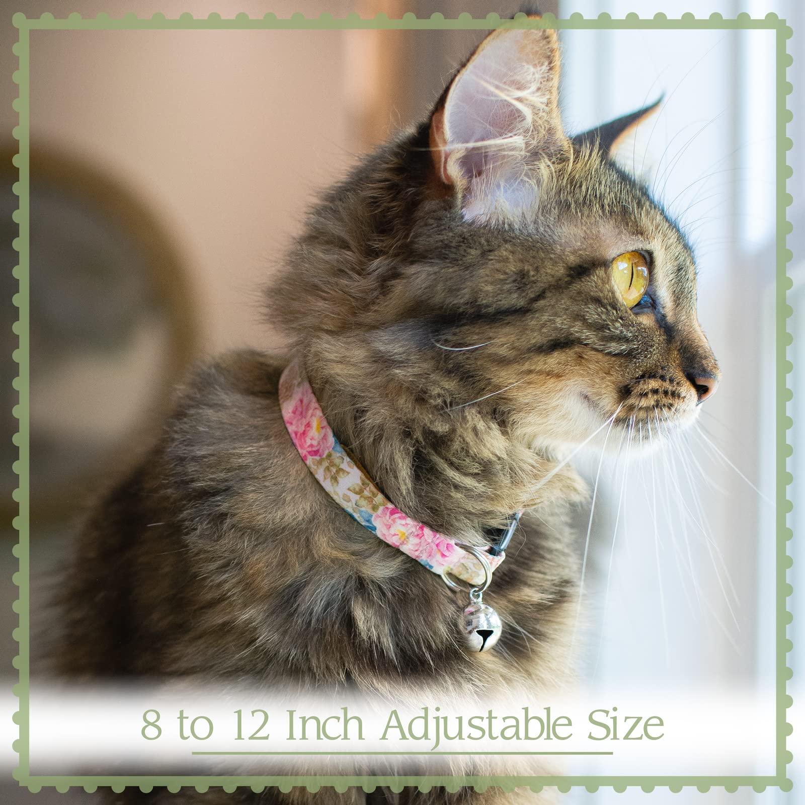 Country Brook Design rattlesnake cat collar closeup highlighting adjustable 8-12 inch fit