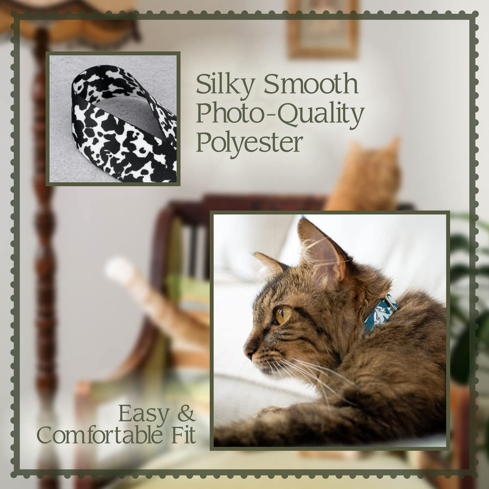 Country Brook Design rattlesnake cat collar made in USA with durable hardware