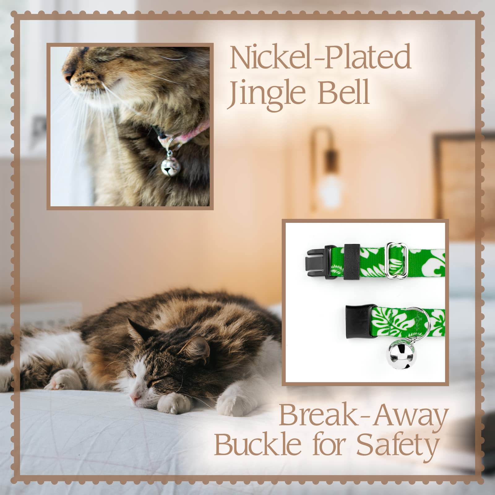 Country Brook Design rattlesnake cat collar on model demonstrating lightweight comfort